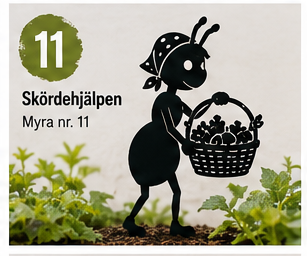 Myra nr. 11 Korg
