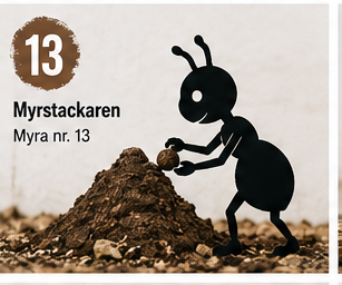 Myra nr 13 Maurtue