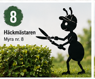 Myra nr 8 – Häckmästaren